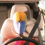 How Modern Female Crash Test Dummies Could Save Lives